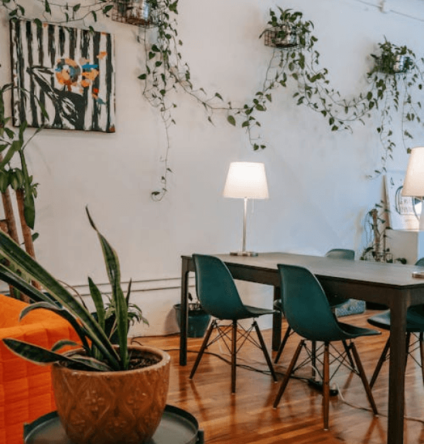 Modern dining room furniture: round table, chairs, and plant.